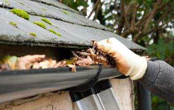 gutter cleaning Newby