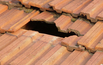 roof repair Newby